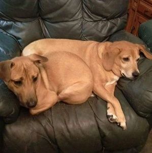 Meet your Posher, Sandy